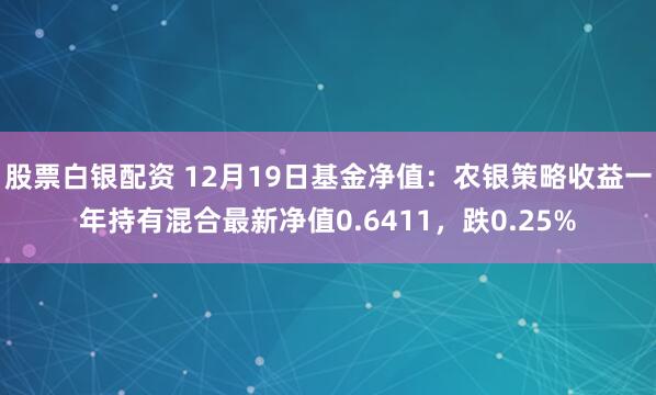 股票白银配资 12月19日基金净值：农银策略收益一年持有混合最新净值0.6411，跌0.25%