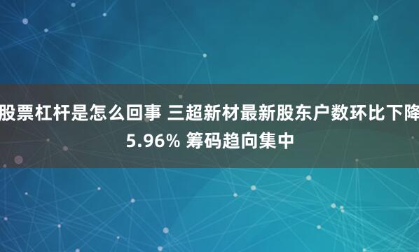 股票杠杆是怎么回事 三超新材最新股东户数环比下降5.96% 筹码趋向集中