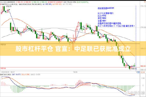 股市杠杆平仓 官宣：中足联已获批准成立