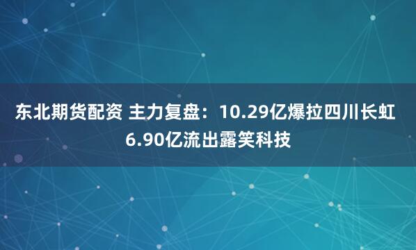 东北期货配资 主力复盘：10.29亿爆拉四川长虹 6.90亿流出露笑科技