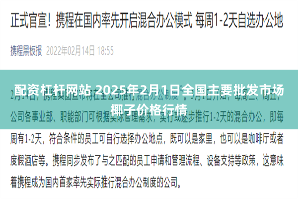 配资杠杆网站 2025年2月1日全国主要批发市场椰子价格行情