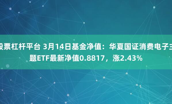 股票杠杆平台 3月14日基金净值：华夏国证消费电子主题ETF最新净值0.8817，涨2.43%