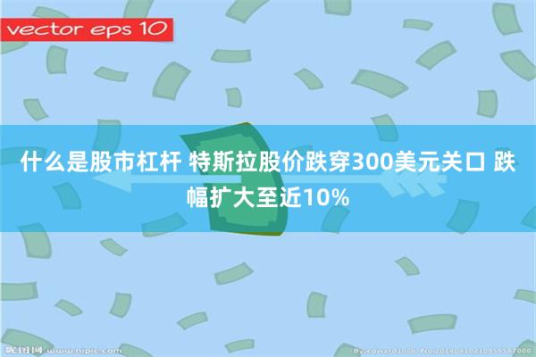 什么是股市杠杆 特斯拉股价跌穿300美元关口 跌幅扩大至近10%